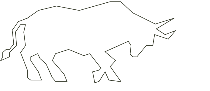 Ultima Markets Stock CFDs Bull